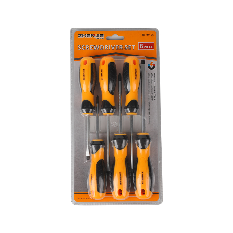 Conjunto de chave de fenda 6pcs com fenda e Phillips CRV