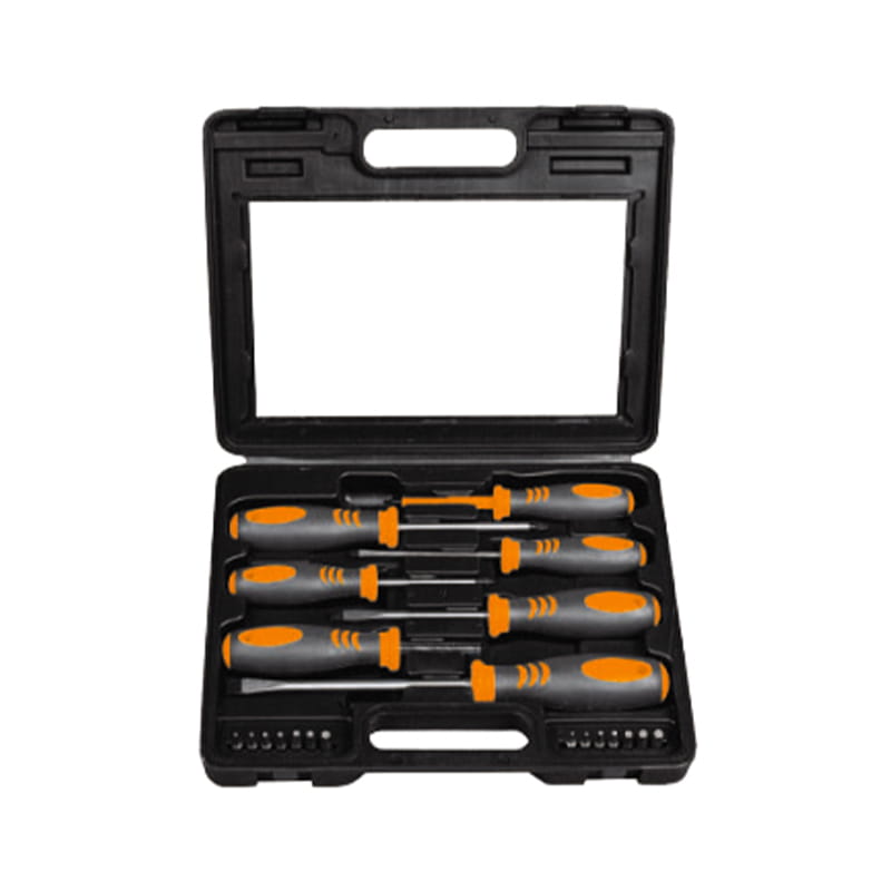 Conjunto de chave de fenda CRV de embalagem 21pcs BMC